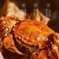 【活蟹】江问鱼 大闸蟹全母2.5两-2.8两 8只装 鲜活螃蟹生鲜中秋礼盒过节送礼 图片 7