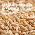 田喜粮鲜有机燕麦米 富含膳食纤维 燕麦米营养早餐代餐五谷杂粮粗粮410g 图片 3