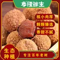 亨隆鲜生广东特产老树桂味荔枝干肉质饱满果核小年货首选200g/500g 500g（礼品装） 图片 4