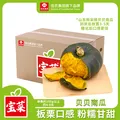 Goodfarmer/佳农 贝贝南瓜 4.5斤 单果250g 微瘤丑瓜