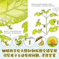 当当一脚踏进物理世界儿童物理科普百科启蒙绘本3-6岁物理启蒙科普绘本小猛犸童书 一脚踏进大自然（全15册） 图片 4