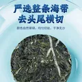 福东海 有机压缩海带丝160g 高泡发免洗 霞浦干货火锅凉拌涮汤 16g*10袋 图片 5