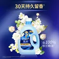 金纺衣物调香大师香氛固色柔顺剂液【洗衣搭档】小苍兰8斤防褪色防皱 图片 2