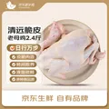京东跑步鸡 清远脆皮老母鸡 2.4斤