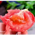 【东东买菜】攀枝花露天沙瓤西红柿新鲜水果蔬菜番茄酸甜 带箱2斤重单果80g起 2斤 图片 4