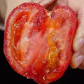 【东东买菜】攀枝花露天沙瓤西红柿新鲜水果蔬菜番茄酸甜 带箱2斤重单果80g起 2斤 图片 6