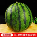 特小凤西瓜冰淇淋黄壤西瓜新鲜时令水果当季现摘黄心手撕西瓜包邮 【精品果1.5-2斤】1个瓜 ｜皮薄脆甜一口爆汁 图片 2