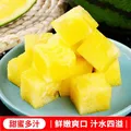 特小凤西瓜冰淇淋黄壤西瓜新鲜时令水果当季现摘黄心手撕西瓜包邮 【精品果1.5-2斤】1个瓜 ｜皮薄脆甜一口爆汁 图片 4