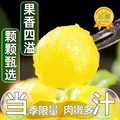 特小凤西瓜冰淇淋黄壤西瓜新鲜时令水果当季现摘黄心手撕西瓜包邮 【精品果1.5-2斤】1个瓜 ｜皮薄脆甜一口爆汁 图片 6