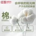 红豆（Hodo）女士内裤7A级抑菌含桑蚕丝底裆柔棉透气自然腰纯色三角裤 组合一 M 165/72A 图片 6
