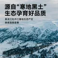 京东京造 东北黑木耳500g/袋 肉厚无根 山珍特产干货菌菇凉拌食材火锅菜 图片 3