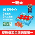 Mr.Seafood/京鲜生 樱桃番茄礼盒 850g