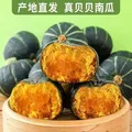 【正宗贝贝南瓜】板栗味小南瓜宝宝辅食代餐新鲜粉糯甜老南瓜批发 贝贝南瓜 10斤 含箱 图片 3