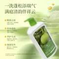 澳雪（accen）碌柚叶柚子叶洗发水 控油去屑清爽持久留香泡沫不干燥1kg 图片 4