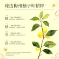 澳雪（accen）碌柚叶柚子叶洗发水 控油去屑清爽持久留香泡沫不干燥1kg 图片 5
