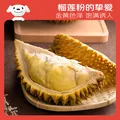 京鲜生泰国进口金枕头鲜榴莲 3.5-4.5斤 1个装  鲜果 生鲜水果 图片 6
