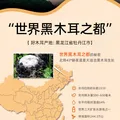 双塔东北黑木耳100g干木耳特产小碗耳火烧烤锅食材南北干货粉丝粉条 图片 2