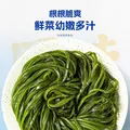 【东东农场专供】新鲜盐渍海带丝 非干货蔬菜 火锅麻辣烫凉拌食材 盐渍海带丝*500g 图片 2