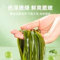 【东东农场专供】新鲜盐渍海带丝 非干货蔬菜 火锅麻辣烫凉拌食材 盐渍海带丝*500g 图片 5