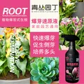 青丛园丁爆芽速原液多芽促芽催芽分化叶插花植物通用型营养液绿植肥料 爆芽速原液500ml*1瓶【常规装】 图片 5