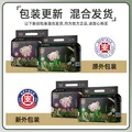 名典熊山茶花纸尿裤XL76片【26-31斤】婴儿超薄透气尿不湿男女宝通用 图片 2