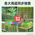 超威电蚊香液基孔肯雅热灭蚊器无香驱蚊液防蚊补充液4瓶1加热器 图片 7