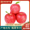 LUOCHUAN APPLE/洛川苹果 红富士苹果 礼盒 净重4.5斤 单果200-250g