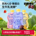 Dr.CHEESE/奶酪博士 婴幼儿A2奶酪酸奶 1.08kg礼盒装 18袋