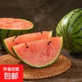西瓜 整箱 1.5-2斤