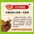 京地达海南板栗薯红薯 糖心番薯 净重4.5斤（2-6两/个）源头直发包邮 图片 3