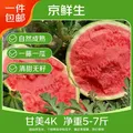 京鲜生 甘美4k西瓜 1-2粒装 净重5-7斤 生鲜水果 源头直发 包邮 图片 1