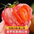 【新鲜夏柿】现摘山东普罗旺斯沙瓤口感西红柿生吃水果番茄包邮 5斤普罗旺斯西红柿 4.5斤 净重 中大果（单果125g+） 口感西红柿【自然成熟】 图片 4