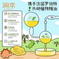 润本叮叮植物精油贴宝宝婴儿专用香香贴儿童户外随身装便携散香 【2件更划算】恐龙王国款 36贴 2盒 图片 5