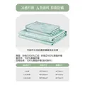 百丽丝水星集团旗下凉席冰丝席 A类可水洗冰丝席学生宿舍夏凉席子 竹韵可水洗抗菌防螨提花冰丝席-X02(抗菌/防螨) 90cm×195cm (两件套) 图片 2