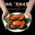 【活蟹】江问鱼 大闸蟹全母2.5两-2.8两 8只装 鲜活螃蟹生鲜中秋礼盒过节送礼 图片 3