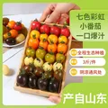 京鲜生 彩虹爆汁小番茄净重3斤(5-7种)水果圣女果千禧源头直发 图片 2