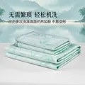 百丽丝水星集团旗下凉席冰丝席 A类可水洗冰丝席学生宿舍夏凉席子 竹韵可水洗抗菌防螨提花冰丝席-X02(抗菌/防螨) 90cm×195cm (两件套) 图片 6