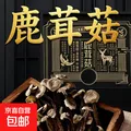 滋养气血鹿茸菇特产脆脆菇无熏新货 500g*2袋 图片 1