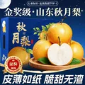 东鲜丰 秋月梨礼盒 整箱 净重4.5斤 单果300g