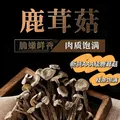 滋养气血鹿茸菇特产脆脆菇无熏新货 500g*2袋 图片 8