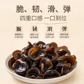 十月稻田 木耳 500g 东北黑木耳 菌菇干货 黑龙江特产 肉厚无根 炒菜凉拌 图片 6