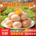 土鸡蛋10枚40g