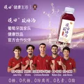 晓田 酸梅汤365ml*16瓶