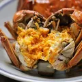 【活蟹】乾澄大闸蟹现货 全母蟹2.0-2.3两 10只 去绳足重鲜活螃蟹海鲜中秋礼盒装 图片 3