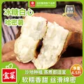 Goodfarmer/佳农 白薯 4.5斤
