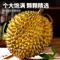 【8月19日前发货】金枕榴莲新鲜果肉饱满新鲜生鲜香甜软糯 净重3-4斤【保3房，金枕】 图片 7