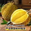 【8月19日前发货】金枕榴莲新鲜果肉饱满新鲜生鲜香甜软糯 净重3-4斤【保3房，金枕】 图片 8