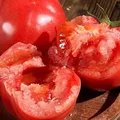 云南高原生态普罗旺斯西红柿荒山坡地自然熟水果番茄新鲜孕妇蔬菜 戈壁普罗旺斯番茄 6斤 带箱 图片 2
