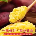 京地达海南板栗薯红薯 糖心番薯 净重4.5斤（2-6两/个）源头直发包邮 图片 4