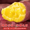 京地达海南板栗薯红薯 糖心番薯 净重4.5斤（2-6两/个）源头直发包邮 图片 5